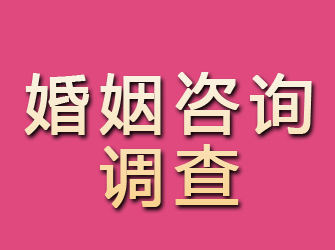 盐池婚姻咨询调查