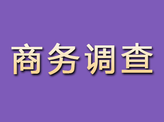 盐池商务调查